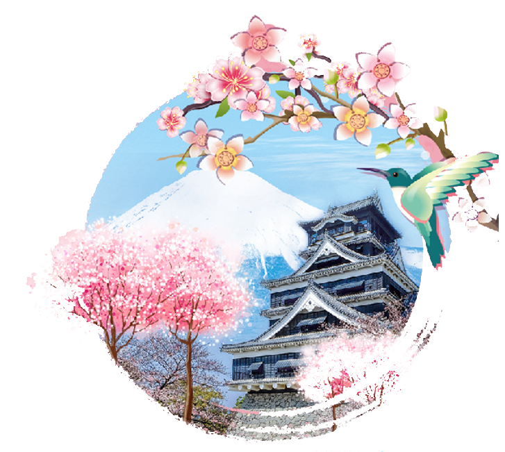 Economical IPTV Service in Japan